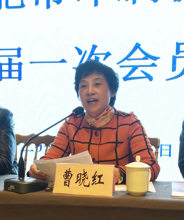 合肥市民政局民間組織管理處處長(zhǎng)張健正在會(huì)上作重要講話2